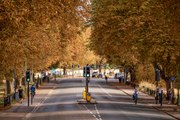 Britain's trees turn a sea of orange as extreme temperatures cause a 'false autumn'