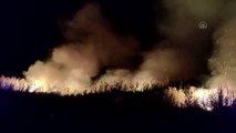 Son dakika haberi: İznik Gölü kıyısındaki sazlık alanda çıkan yangına müdahale ediliyor