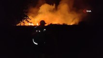 Son dakika haber... İznik Gölü'nde korkutan yangın