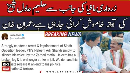 Zardari Mafia is trying to silence Haleem Adil's voice, Imran khan