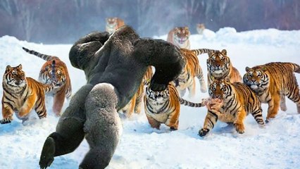 15 Most Fearless Animals On The Planet