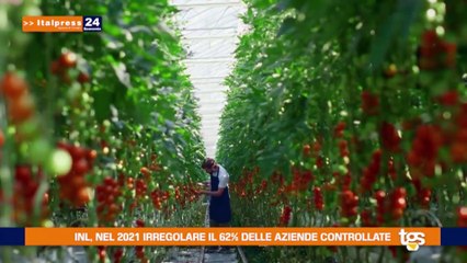 Il tg economia del 23 agosto