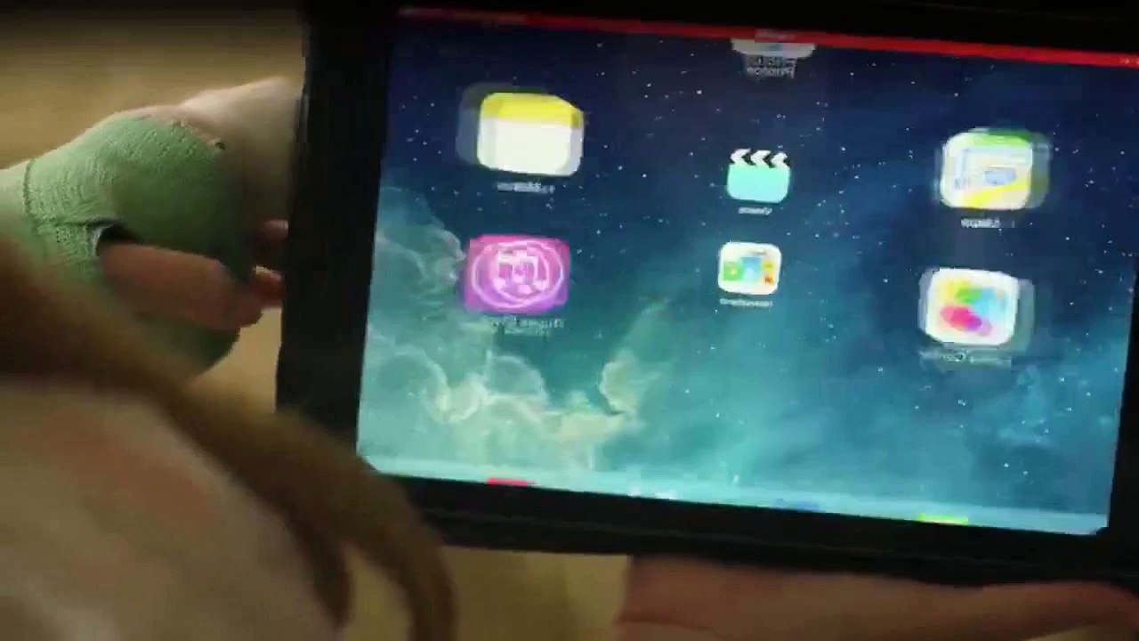 Baskets Staffel 1 Folge 10 HD Deutsch