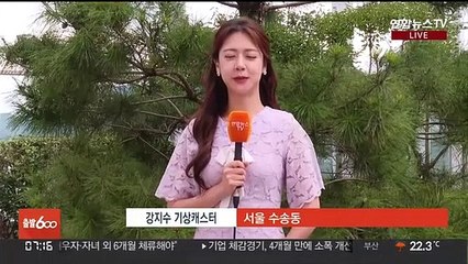 [날씨] 오전까지 남부 가끔 비…큰 더위 없어