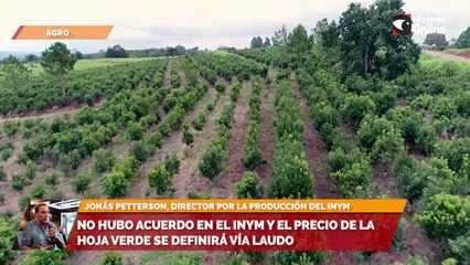 Sala cinco  No hubo acuerdo en el INYM y el precio de la hoja verde se definirá vía laudo