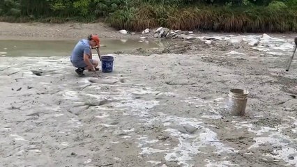 Pegada gigante de dinossauro é revelada após seca em rio no Texas