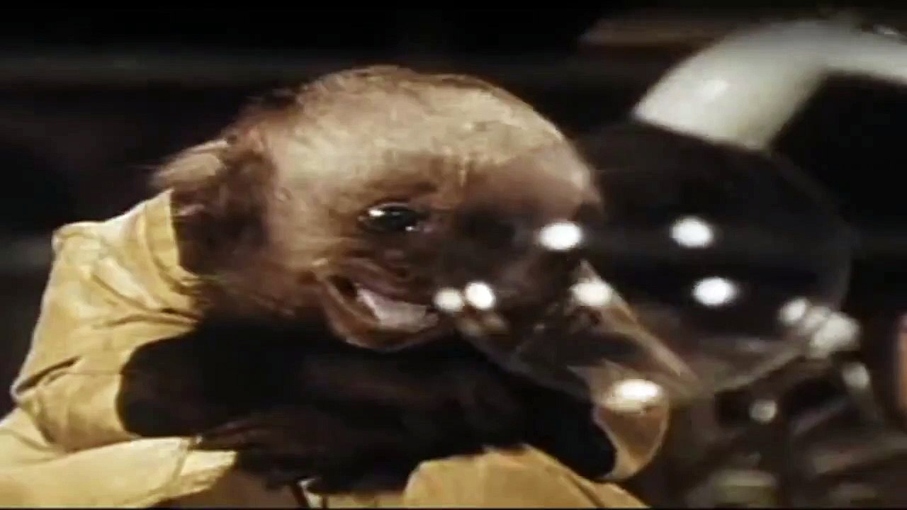 Die Kleinen Strolche Staffel 1 Folge 47 HD Deutsch