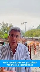 Arrancó lentamente la discusión de la reforma tributaria