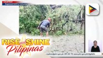 Road clearing operations sa Isabela, patuloy; Pasok sa lahat ng antas sa bayan ng Tumauini, suspendido pa rin