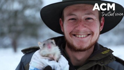 Aussie Ark snow - August 24, 2022 - Northern Daily Leader