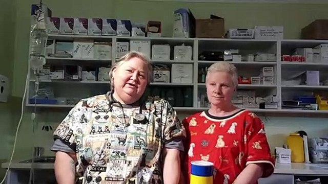 Daylesford vets travelling to Ukraine to save animals | The Courier, August 24, 2020