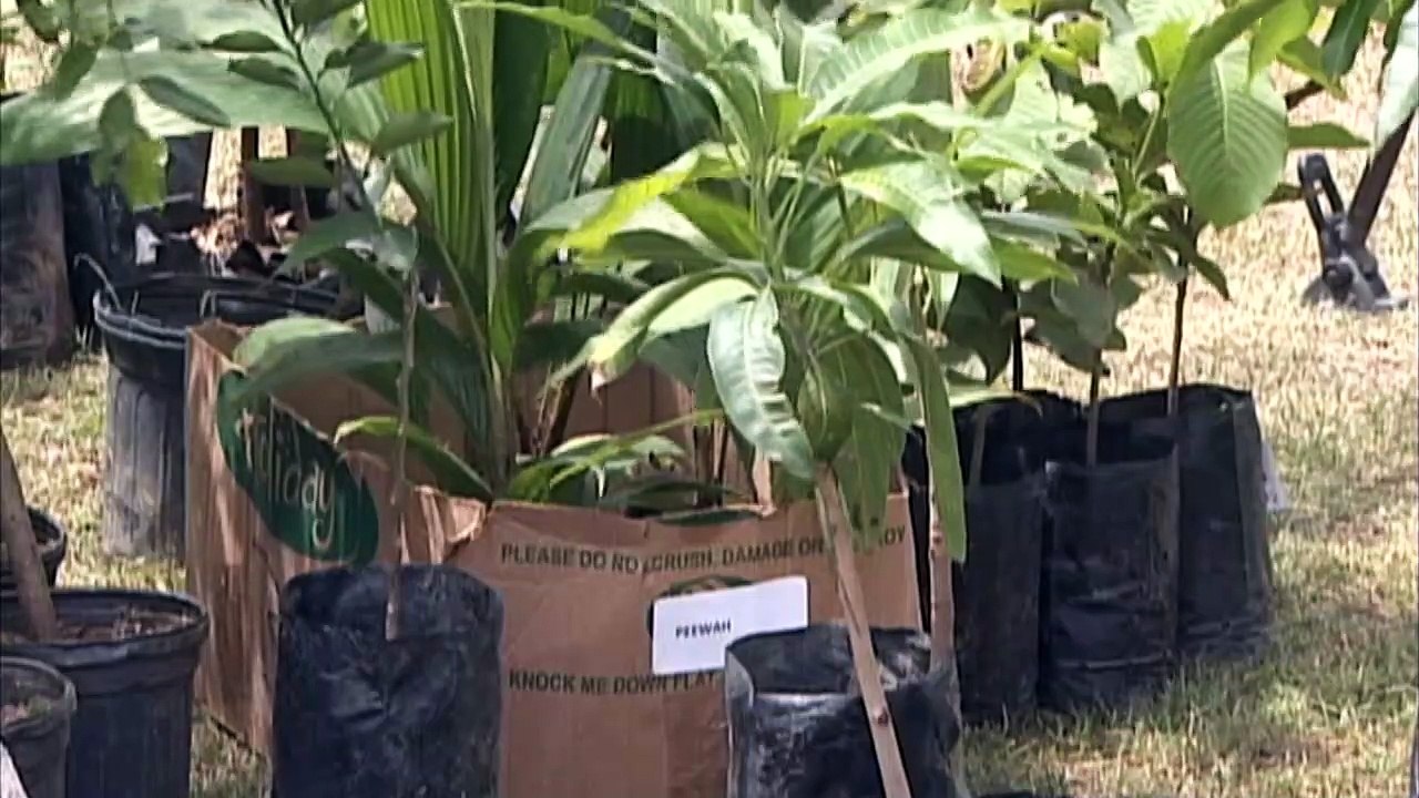 FOOD SECURITY YEARS LATE