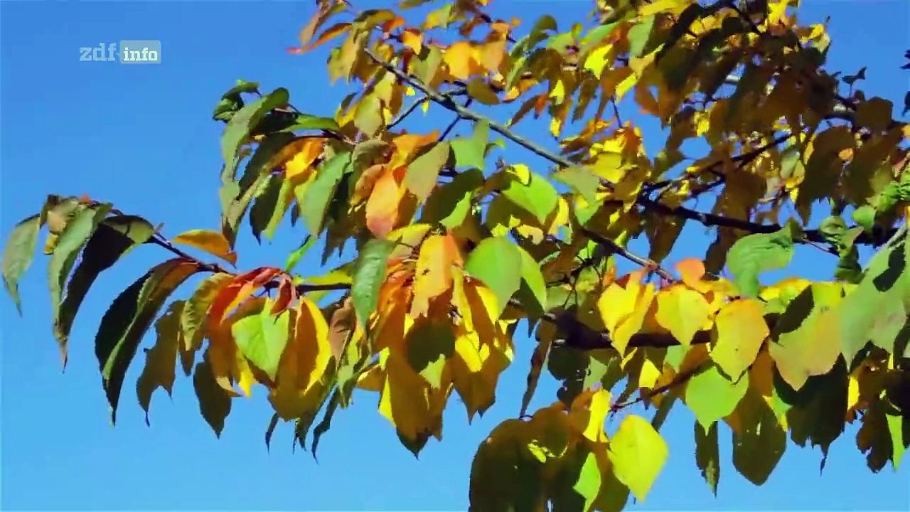 Revolutionär! - ideen, die die welt veränderten staffel 1 folge 5 hd deutsch