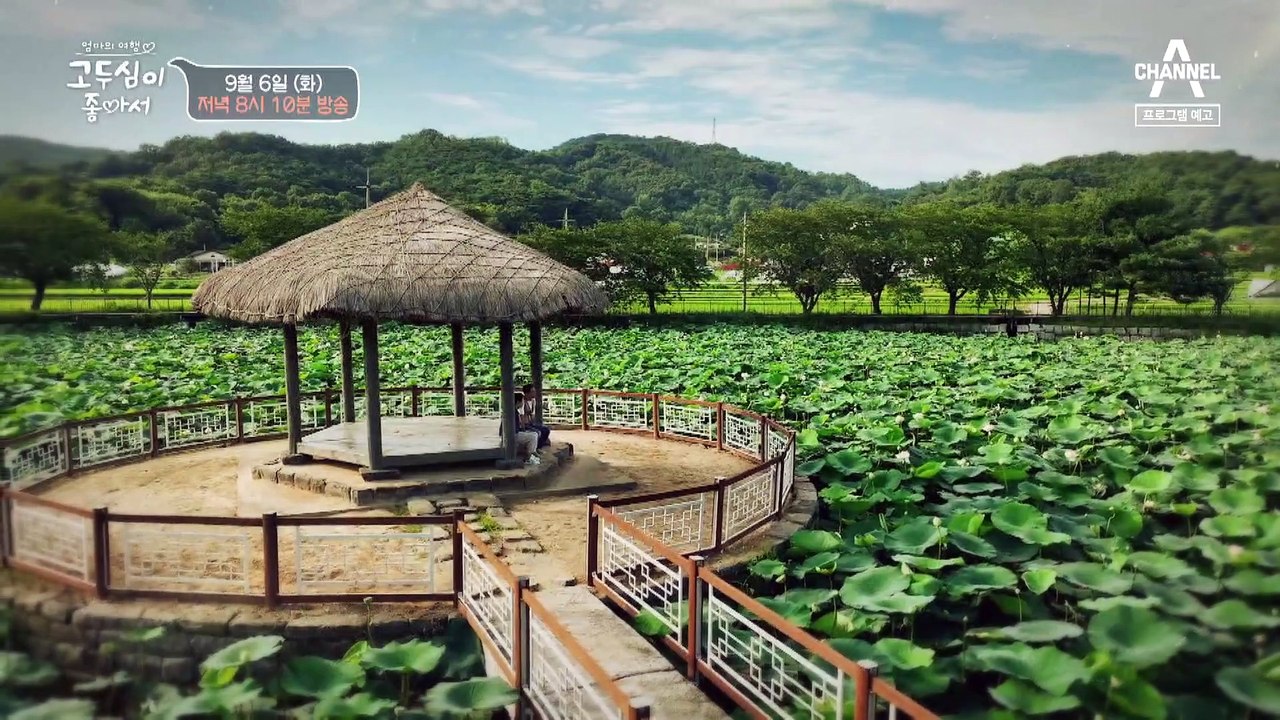 [예고] 당진으로 떠난 고두심과 김창옥! 연꽃이 끝없이 펼쳐진 당진에서의 감성 충만 여행