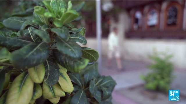 Spain immigration: Govt eases rules to offset labor shortages