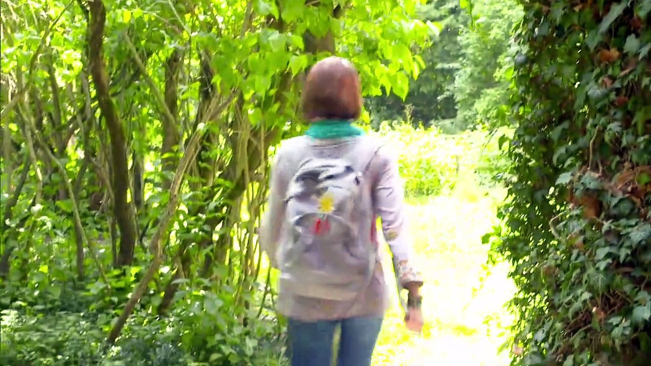 Fluch des Falken Staffel 3 Folge 14 HD Deutsch