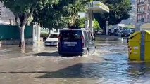 Temporale a Palermo, strade allagate e alberi caduti