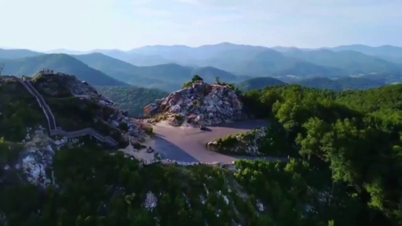 No Copyright stock footage Video__4k Natural_wild animal __Drone footage __#nature #animals #music