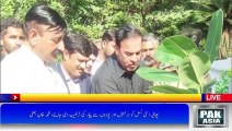 PHALIA Monsoon Planting Campaign Was Inaugurated Under The Clean And Green Pakistan Campaign