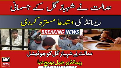 Shahbaz Gill sent to jail on judicial remand