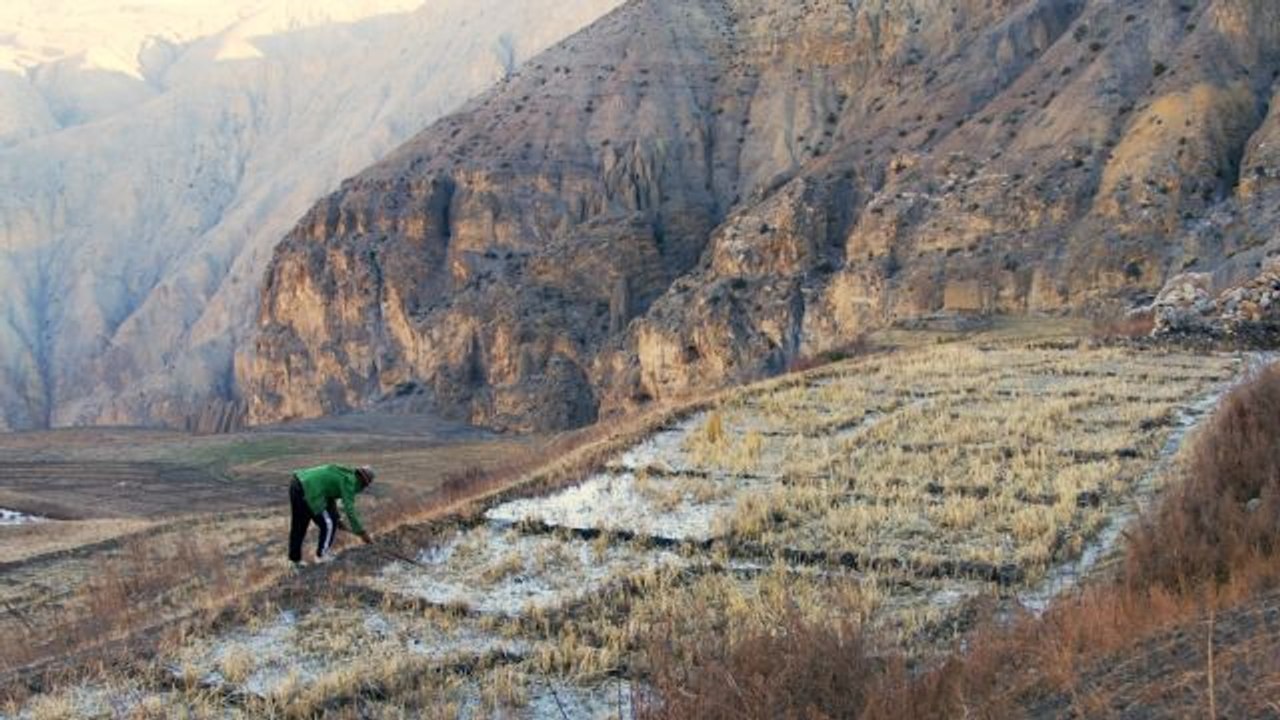 When Glaciers Go: Life Without Water