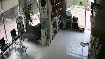 Veteriner kliniğinde dehşet  kamerada