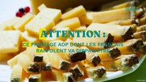 Attention, ce fromage AOP dont les Français raffolent va disparaître