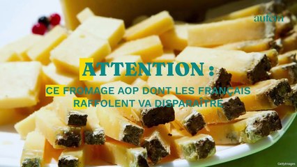 Attention, ce fromage AOP dont les Français raffolent va disparaître