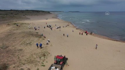 Kum zambaklarının bulunduğu tabiat parkında çevre temizliği yapıldı