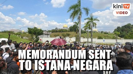 Najib's supporters hand memorandum to palace requesting for royal pardon