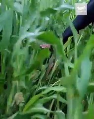 أبرز العصور المناخية التي مرت بشبه الجزيرة العربية