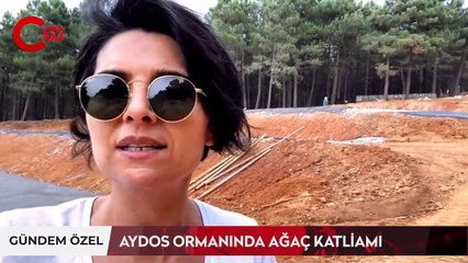 Aydos Ormanı'nda ağaç katliamı!