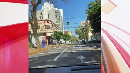 Ave silvestre é flagrada correndo no centro de Apucarana; assista