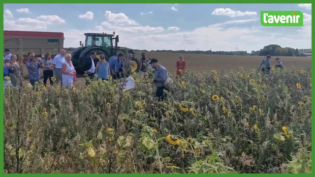 La Raffinerie Tirlemontoise et ses bandes fleuries pour stimuler la biodiversité