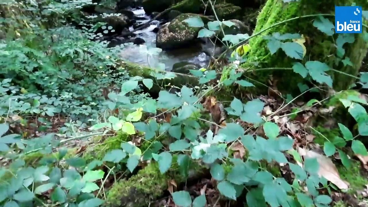 Au fil de l'eau - Saint Saud Lacoussière