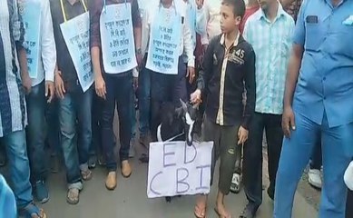 পোষ্যের গলায় সিবিআই ইডি লেখা পোস্টার! অভিনব উপায়ে প্রতিবাদ কর্মসূচি তৃণমূলের