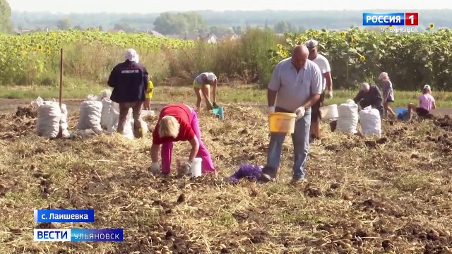 Агротуризм с пользой для фермеров и для семьи