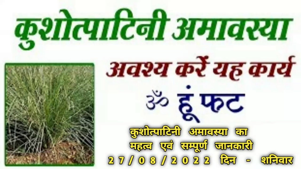 कुशोत्पाटिनी अमावस्या -27/08/2022 दिन - शनिवार | कुशोत्पाटिनी अमावस्या का महत्व एवं सम्पूर्ण जानकारी | कुश उखाड़ने की विधि एवं शुभ मुहूर्त