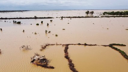 خسائر بالمليارات.. السيول تتلف محاصيل 10 آلاف فدان في السودان