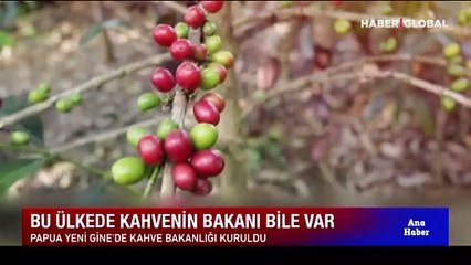 Yeni başbakan kabineyi açıkladı: İçlerinde kahve bakanı bile var