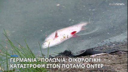 Οικολογική καταστροφή στον ποταμό ¨Όντερ
