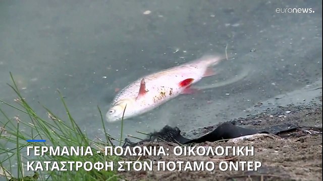 Οικολογική καταστροφή στον ποταμό ¨Όντερ