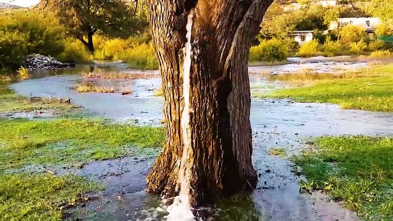 Mind Blowing Moments Caught On Camera ! - video Dailymotion