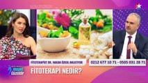 NEFİSE KARATAY -DR HAKAN ÖZKUL -KANSER TEDAVİSİ- FİTOTERAPİ