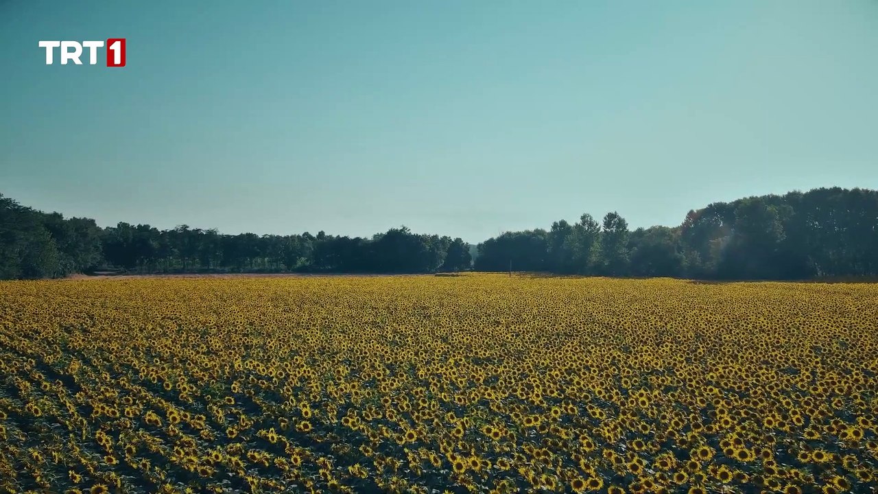 "Sonun Geldi Bekir!" - Kara Tahta 19. Bölüm