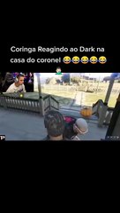 CORINGA REACT AO DARKZIN NO GTA RP