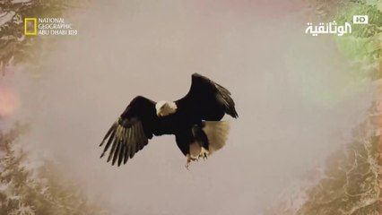 سباق التحدي في نهر يوكون | في الظلام - الحلقة 4