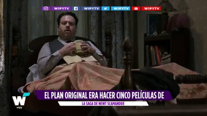 ¿Cuántas películas más de ‘Fantastic Beasts’ podría haber? || Wipy TV