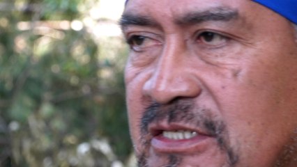 Capturan en Chile al líder radical mapuche Héctor Llaitul