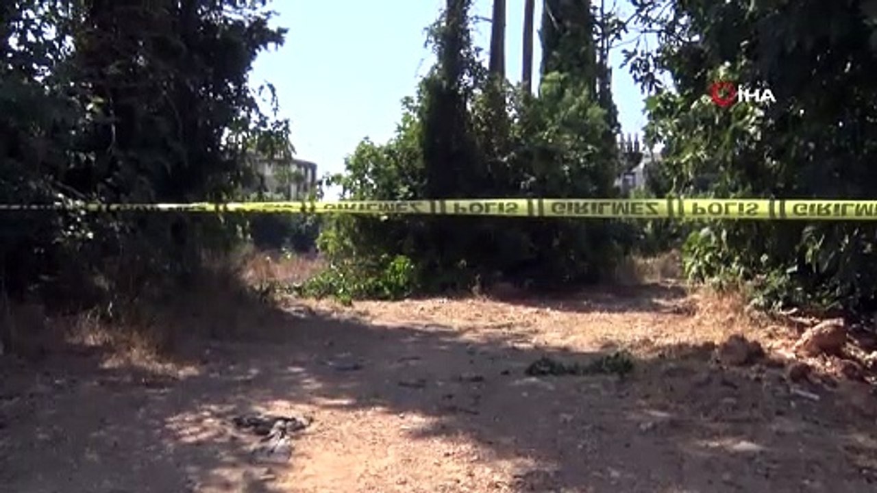 Antalya’da 20 köpeğin zehirlendiği ihbarı